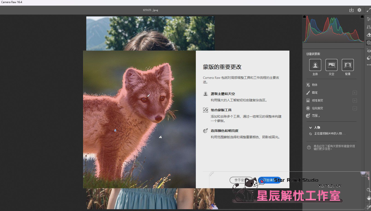 Adobe Camera Raw：一款功能强大的免费图像处理工具-星辰解忧