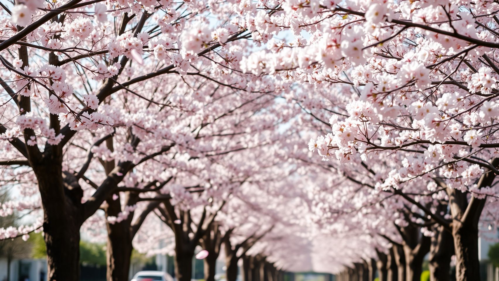 图片分享-星辰解忧工作室